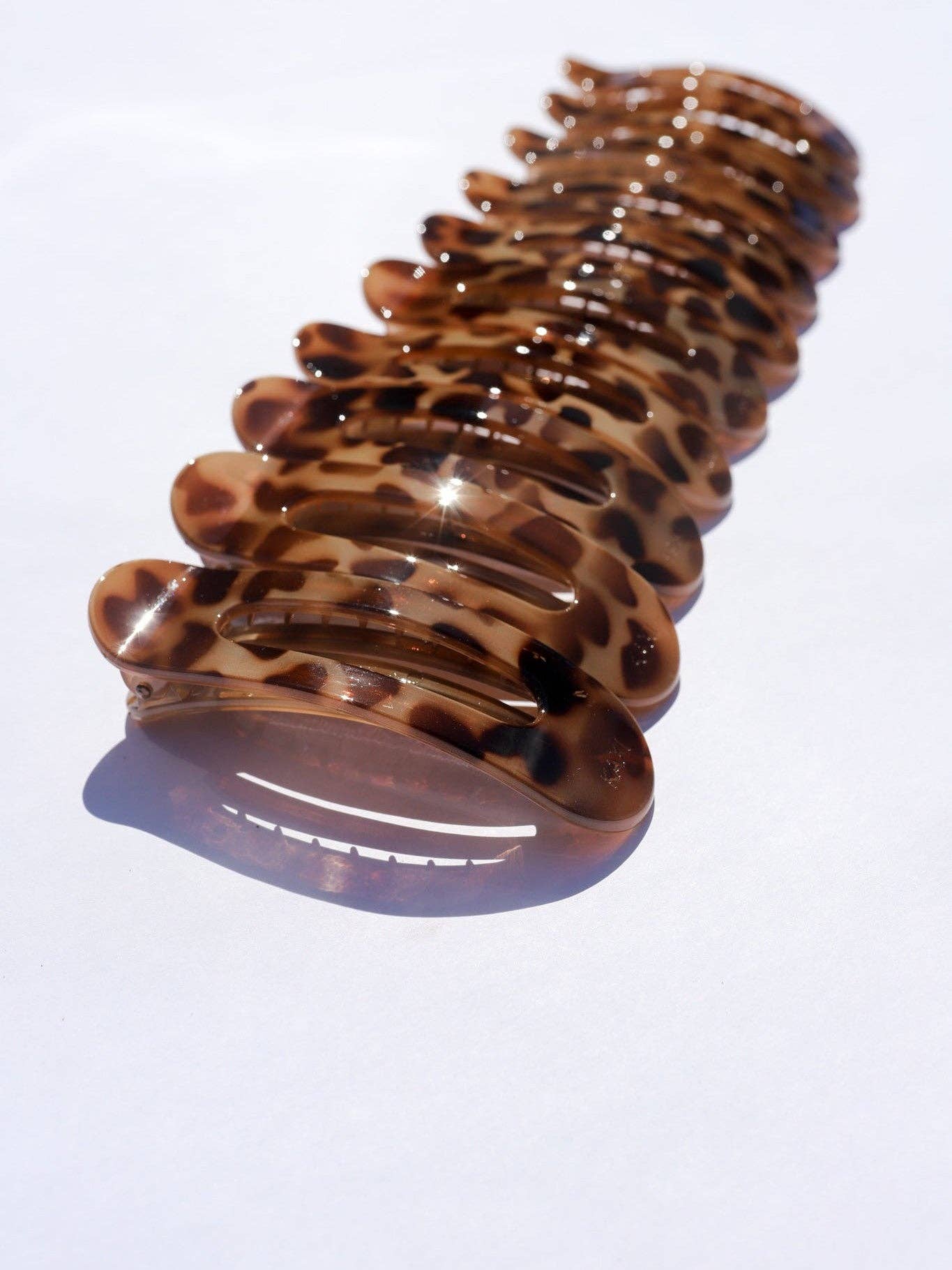 dark tortoise lay down claw